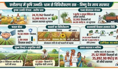 आधुनिक और नगदी फसलों की खेती ने बदली छत्तीसगढ़ के किसानों की तकदीर, खेती ने पकड़ी नई रफ्तार, खेत से बाजार तक बदल रही तस्वीर…