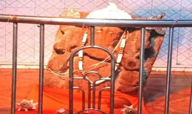 गढ़डोंगरी में अनोखा गणेश मंदिर, रोज मेहमान बनकर आते हैं 3 भालू, ग्रामीण मानते हैं जामवंत का रूप