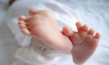 CG-जिला अस्पताल में प्रसव के दौरान जच्चा-बच्चा की मौत, परिजनों ने लगाए ये गंभीर आरोप