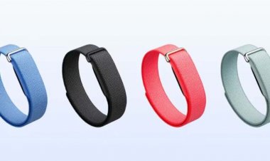 Google ने लॉन्च किया Fitbit Air, बिना स्क्रीन वाला फिटनेस बैंड; कीमत ₹13,999