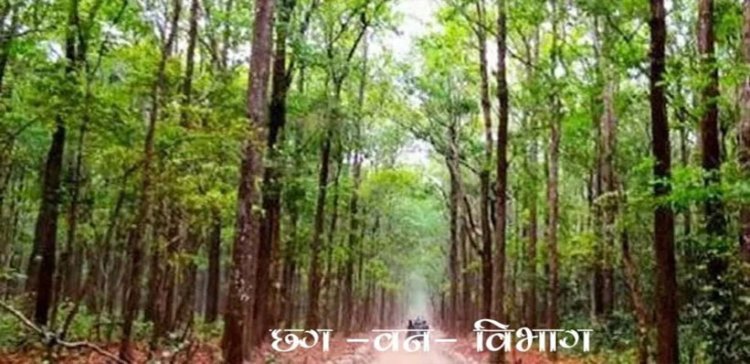 वन विभाग में 10 वर्ष से अधिक पदस्थ 966 तृतीय और 2,664 चतुर्थ श्रेणी के कर्मी होंगे नियमित