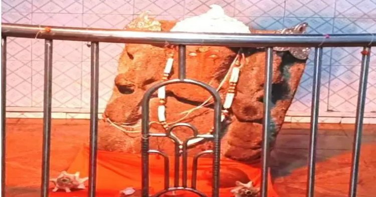 गढ़डोंगरी में अनोखा गणेश मंदिर, रोज मेहमान बनकर आते हैं 3 भालू, ग्रामीण मानते हैं जामवंत का रूप