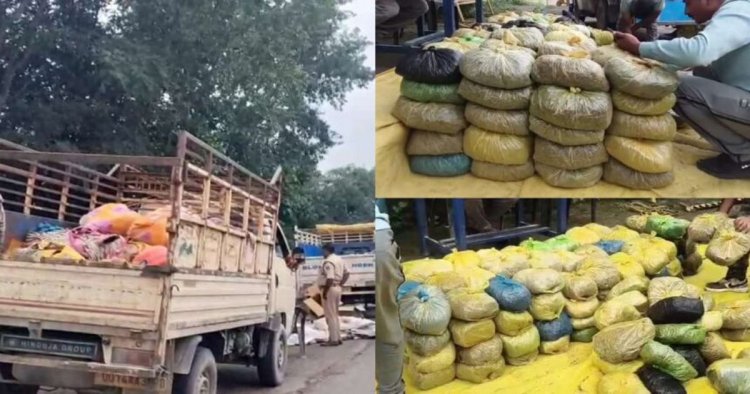 CG : छत्तीसगढ़ में यहां पकड़ाया दो पिकअप भरकर गांजा, 8 क्विंटल माल जब्त, 7 हिरासत में