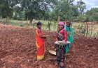 लेमन ग्रास की खुशबू से महक रही आत्मनिर्भरता, जीपीएम की महिलाएं बढ़ रहीं ‘लखपति दीदी’ बनने की राह पर