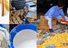 CG : खाद्य विभाग की बड़ी कार्रवाई, 2500 किलो मिठाई और 1000 लीटर दूध नष्ट , 3 दुकानें सीज