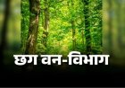CG : वन विभाग में बड़ी फेरबदल, 102 वनक्षेत्रपालों के तबादले, देखें पूरी लिस्ट