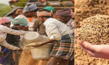 छत्तीसगढ़ में धान खरीदी के नियम बदले, अब फिंगरप्रिंट से होगा सत्यापन, जान लीजिए ये नए नियम…..