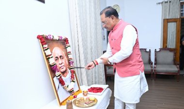 मुख्यमंत्री विष्णु देव साय ने लौह पुरुष सरदार वल्लभभाई पटेल की जयंती पर उन्हें किया नमन
