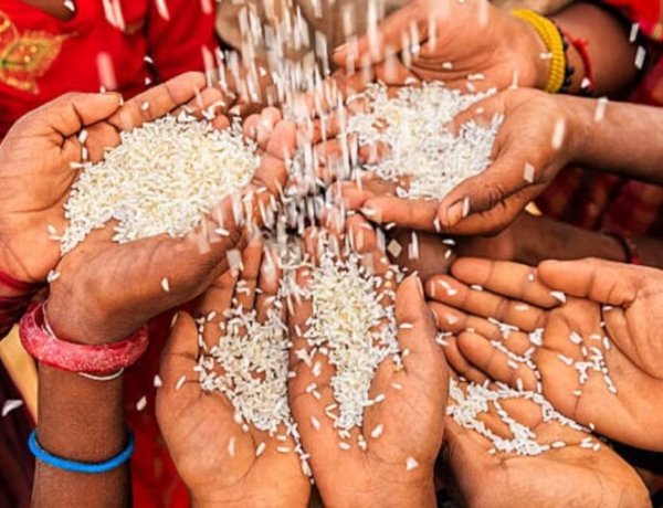 CG : राशन कार्ड धारकों के लिए बड़ी राहत, अब 15 अक्टूबर तक मिलेगा सितंबर-अक्टूबर का दो महीने का चावल