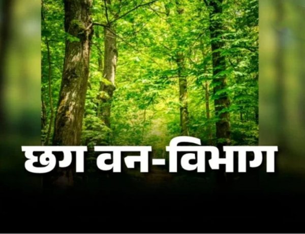 CG : वन विभाग में बड़ी फेरबदल, 102 वनक्षेत्रपालों के तबादले, देखें पूरी लिस्ट