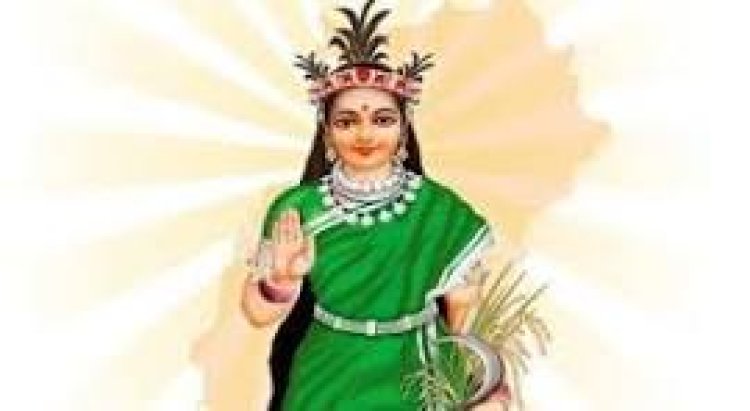 छत्तीसगढ़ महतारी की तस्वीर गायब, प्रदेश के नक्शे से भी खिलवाड़ — राज्योत्सव के नाम पर भाजपा सरकार सिर्फ ढोंग कर रही है : विकास उपाध्याय
